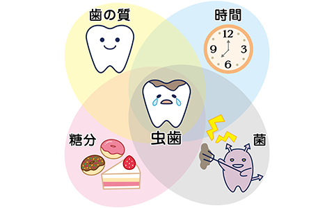 神奈川県横浜市神奈川区反町の歯医者 反町歯科 矯正歯科クリニック 一般歯科