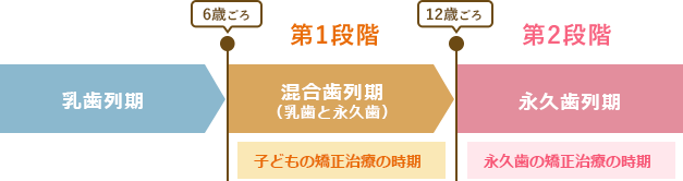 イラスト：子どもの矯正治療の時期